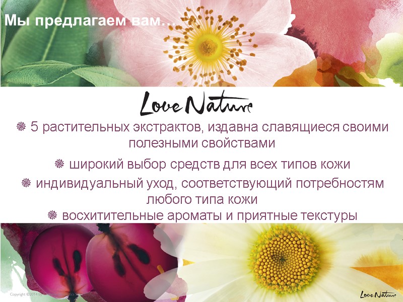 5 растительных экстрактов, издавна славящиеся своими  полезными свойствами  широкий выбор средств для